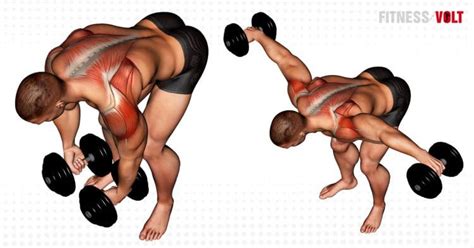 Dumbbell Rear Lateral Raise Exercise Guide And Video Fitness Volt