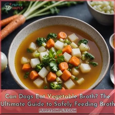 Can Dogs Eat Vegetable Broth The Ultimate Guide To Safely Feeding Broth