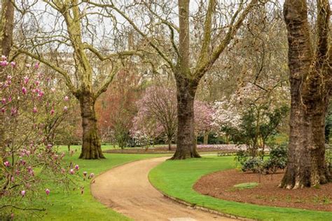 Inside Buckingham Palace Queen Elizabeth Ii Garden Secrets Shared