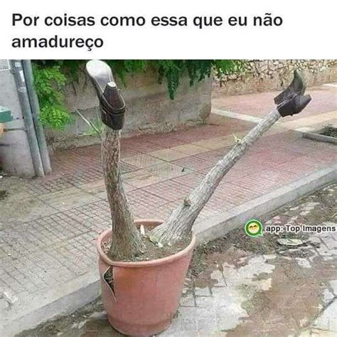 Voc Colhe O Que Planta Top Imagem