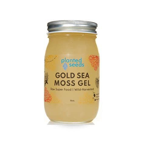 Sea Moss Gel: The Health Benefits of Nature's Superfood - VitaCures