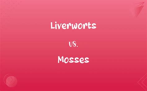 Liverworts vs. Mosses: What’s the Difference?