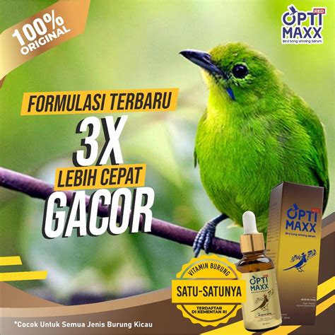 Jual Optimaxx Original Multivitamin Suplemen Burung Vitamin Penggacor