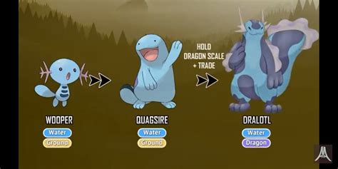 Wooper Evolution Chart