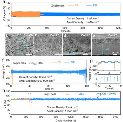 The Plating Stripping Behaviors For Zn Electrodes In Zs And Zsl