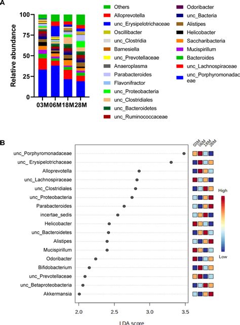 Taxonomic Distribution Of Fecal Microbiome By Genera A Microbiome