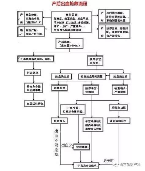 产后失血性休克抢救流程