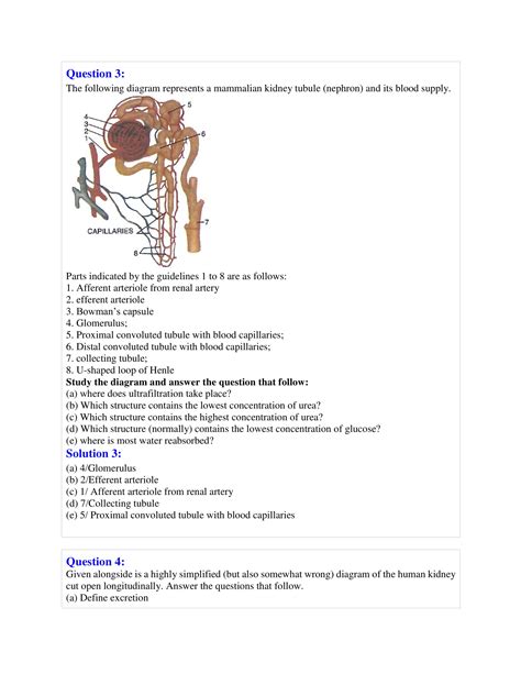 Selina Solutions Class 10 Concise Biology Chapter 7 The Excretory