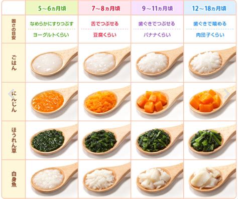 4時間目・離乳食完了期1歳～1歳半について｜ひーろー先生のママ保育園