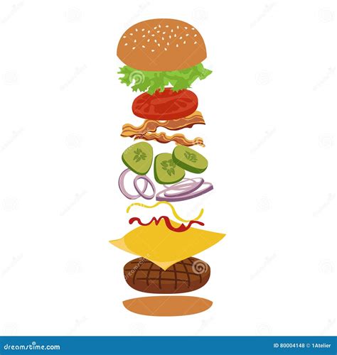 Ilustração Do Infographics Do Vetor Do Hamburguer E Dos Ingredientes