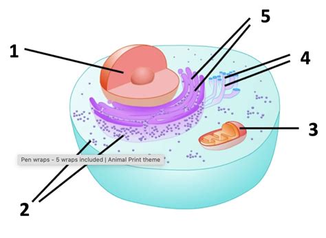 Biochem Final Exam Exam 1 Review Diagram Quizlet