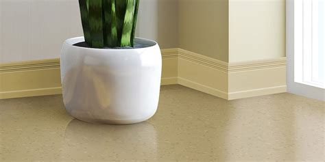 Contours Profiled Wall Base System Roppe