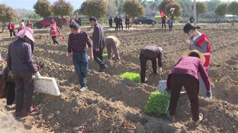 临澧：“微宣讲”进田间地头 党的二十大精神“声”入民心临澧县湖南频道红网