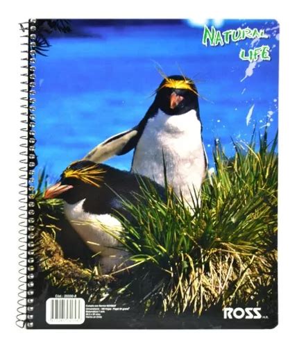 Pack 10 Cuadernos Ross Natural Univ 100 Hojas Cuadro 7mm Cuotas Sin