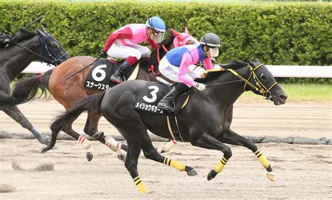 ＜新潟11r・越後ステークス＞レースを制した幸騎乗のメイショウギガース（撮影・西川祐介） ― スポニチ Sponichi Annex ギャンブル