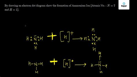 Ammonium Ion Lewis Dot Structure