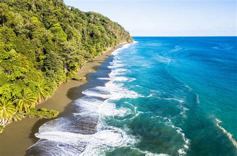 Parque Nacional Corcovado En Costa Rica Gu A Suprema