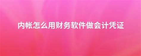 内帐怎么用财务软件做会计凭证 畅捷通