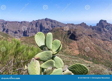 Pico Verde Scenic Hiking Trail To Masca Village In The Teno Mountain