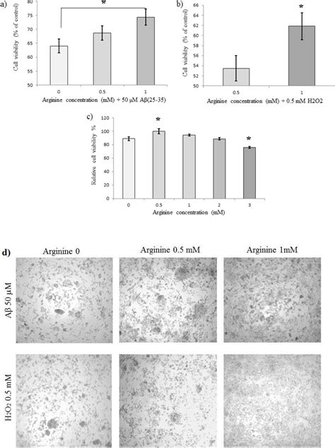 Effects Of Different Concentrations Of L Arginine In The Medium On The