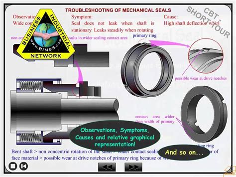 Mechanical Seal Basics