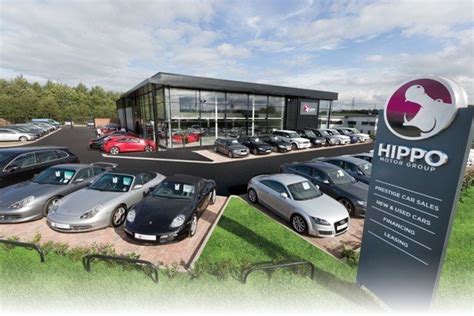 Meet Our Team Hippo Motor Group