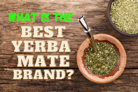 Yerba Mate Brands The 18 Best To Drink