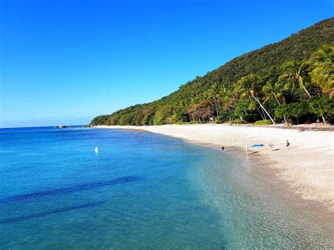 Nudey Beach On Fitzroy Island Cairns Australia Holidify