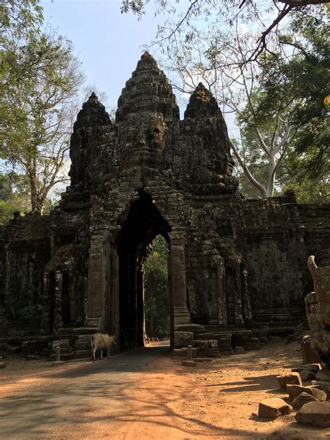 Must Visit Temples In Siem Reap Tripoto