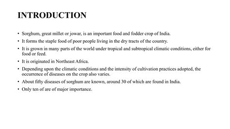 Diseases Of Sorghum Ppt