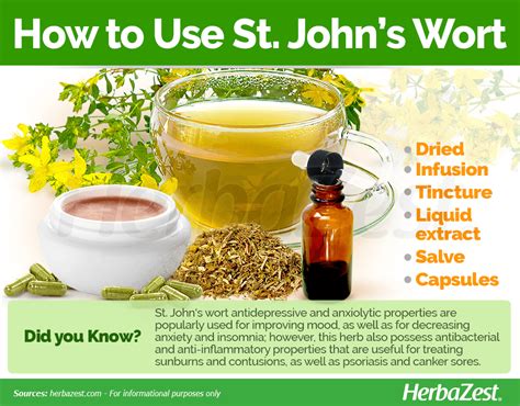 St Johns Wort Herbazest