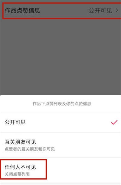 抖音作品点赞量不让别人看怎么设置 抖音隐藏点赞数教程及隐私设置详解 适会说