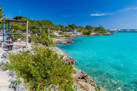 La Ciénaga de Zapata: a natural treasure in Cuba