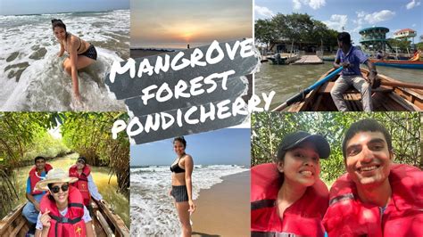 Mangrove Forest Pondicherry I Vlog Part II YouTube