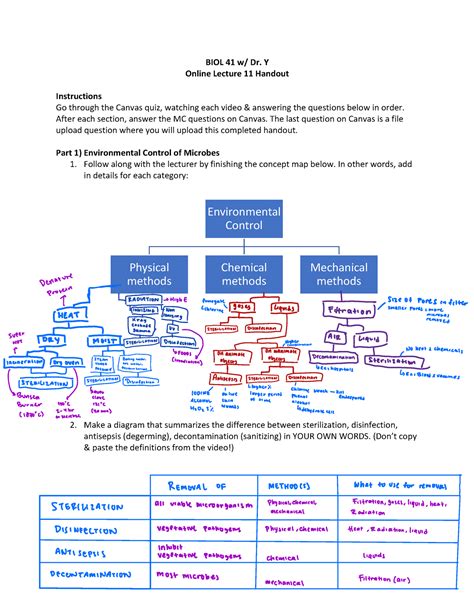European History Lesson 11 Handout 11 Answers 9