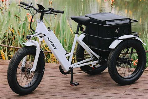 What is an E Cargo Bike - three wheel ebike