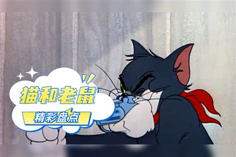 猫和老鼠：汤姆抓捕杰瑞，不料反被杰瑞欺负，这也太好笑了