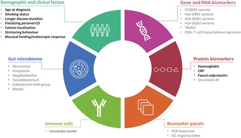 Current And Potential Prognostic And Predictive Biomarkers In Ibd Text