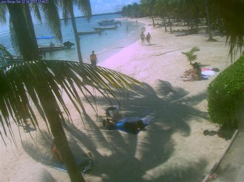 Webcam Akumal: Akumal Beach Webcam