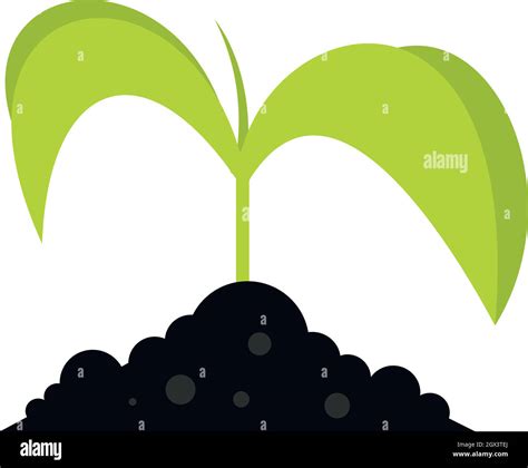 Seedling Stock Vector Images Alamy