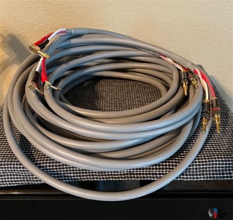 Canare S Pair Speaker Cables Pending Photo Us Audio Mart