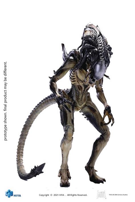 Aliens Vs Predator Requiem Predalien Continuar Comics