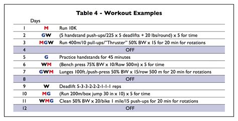 Crossfit Workout Plan Pdf - WorkoutWalls