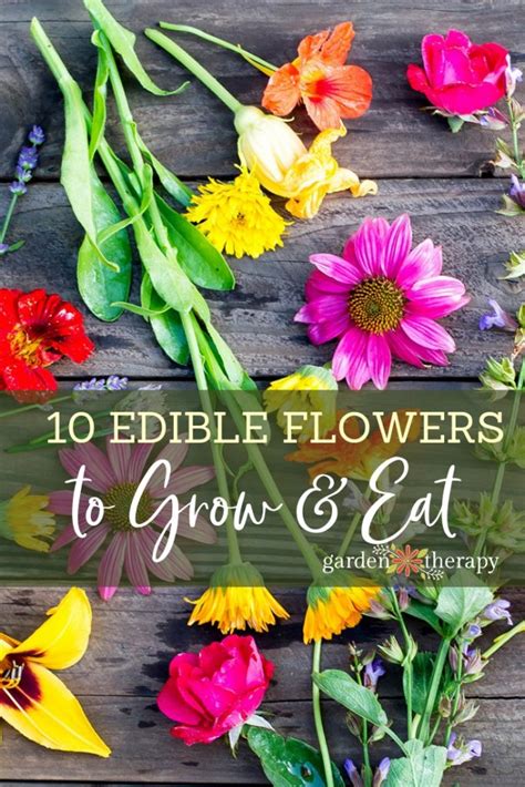 The Ten Best Edible Flowers to Grow in Your Garden