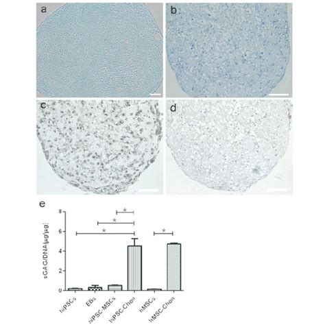 Generation Of Hipscmsc Chondrogenic Pellets Via Eb Formation