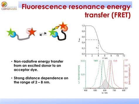 Ppt Single Molecules Photo Physics Powerpoint Presentation Id