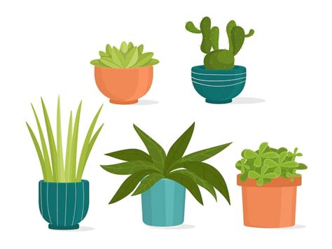 Premium Vector Set Of Plants In Pots Vector