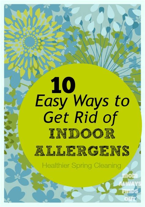 Spring Cleaning Tips: Natural Allergy Remedies