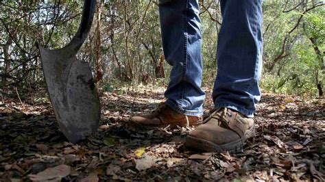 Hallan Fosa Clandestina Con Restos De Personas En Sonora N