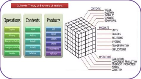 Intelligence Theories Two Factor Theory Spearman Primary Mental